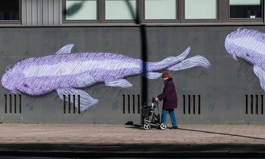 Découverte des arts visuels contemporains